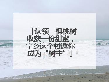 认领一棵桃树收获一份甜蜜，宁乡这个村邀你成为“树主”